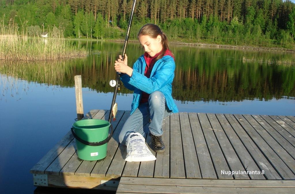 Cottage Nuppulanranta Jämsä Rom bilde